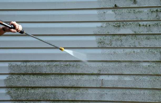 Best Sidewalk and Walkway Cleaning  in Harahan, LA